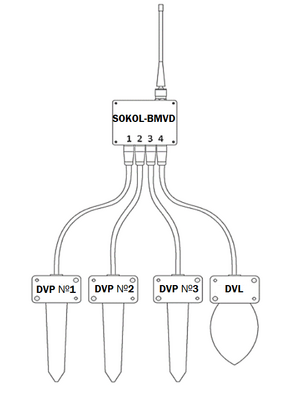 SOKOL-BMVD+SOKOL-DVP (NEW HOUSING).png