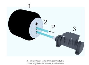 Image5.png